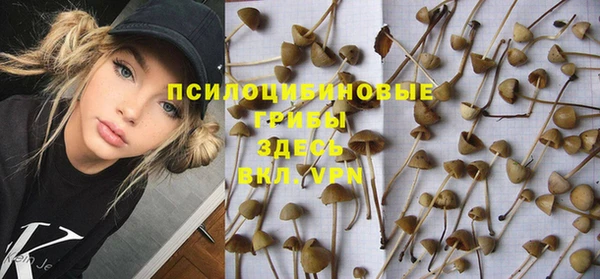 бошки Заволжье