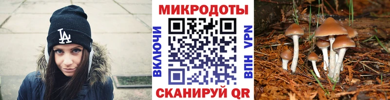 mega зеркало  Новокузнецк  Псилоцибиновые грибы MAGIC MUSHROOMS  где купить наркоту 