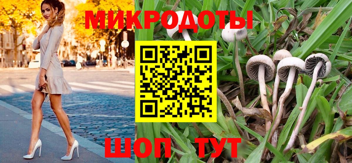 Галлюциногенные грибы мухоморы  Россия 