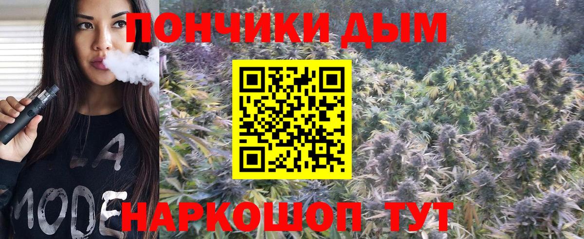 Марихуана сатива  Марихуана план  Конопля SATIVA & INDICA  Россия 